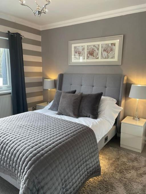 Riverside Retreat Llandysul Экстерьер фото