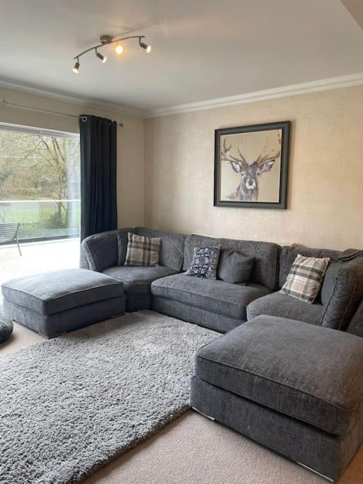 Riverside Retreat Llandysul Экстерьер фото